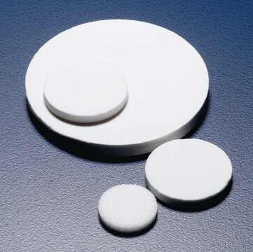 Sintered Discs